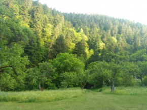 Camp-Woods Likani